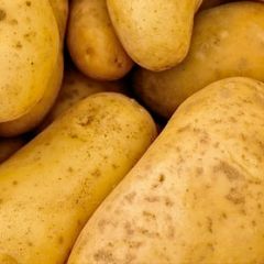 Aardappelen